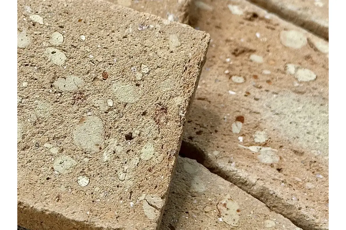 Eco Palha - Imagem 2