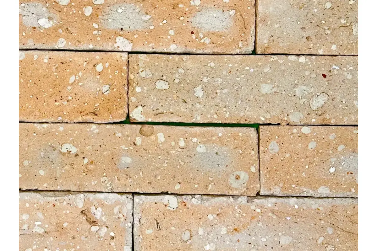 Eco Palha - Imagem 4