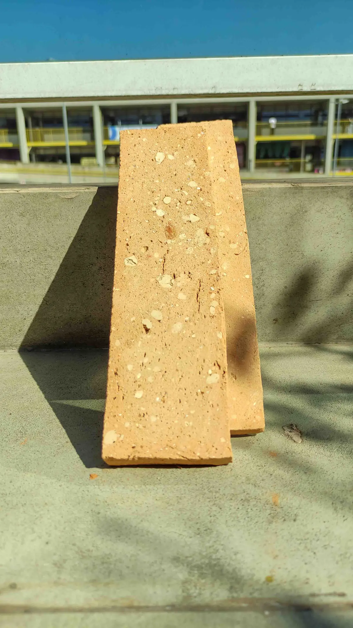 Eco Palha - Imagem 12