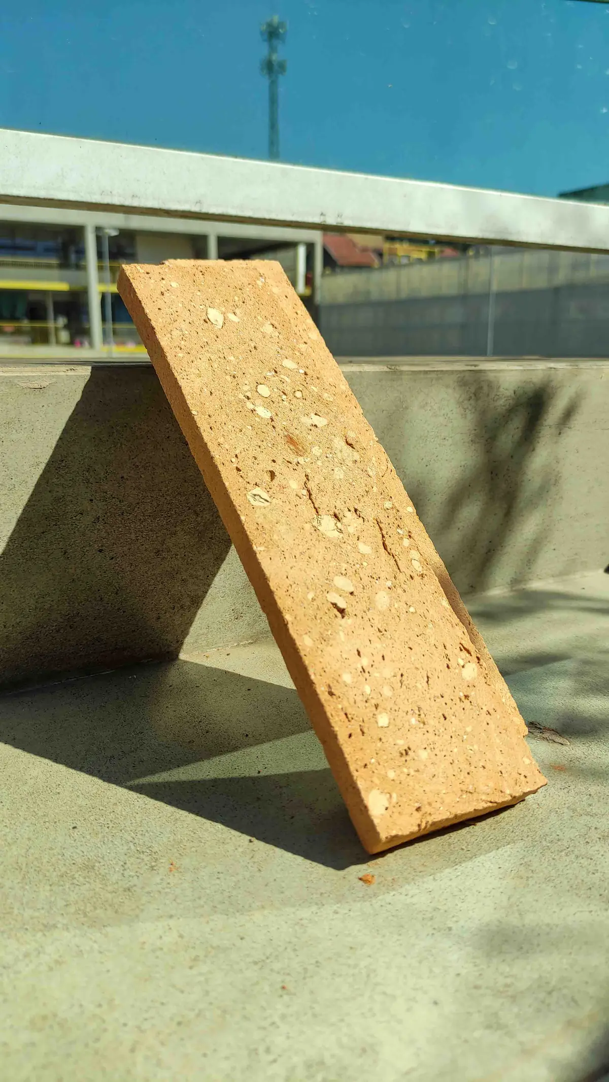 Eco Palha - Imagem 13