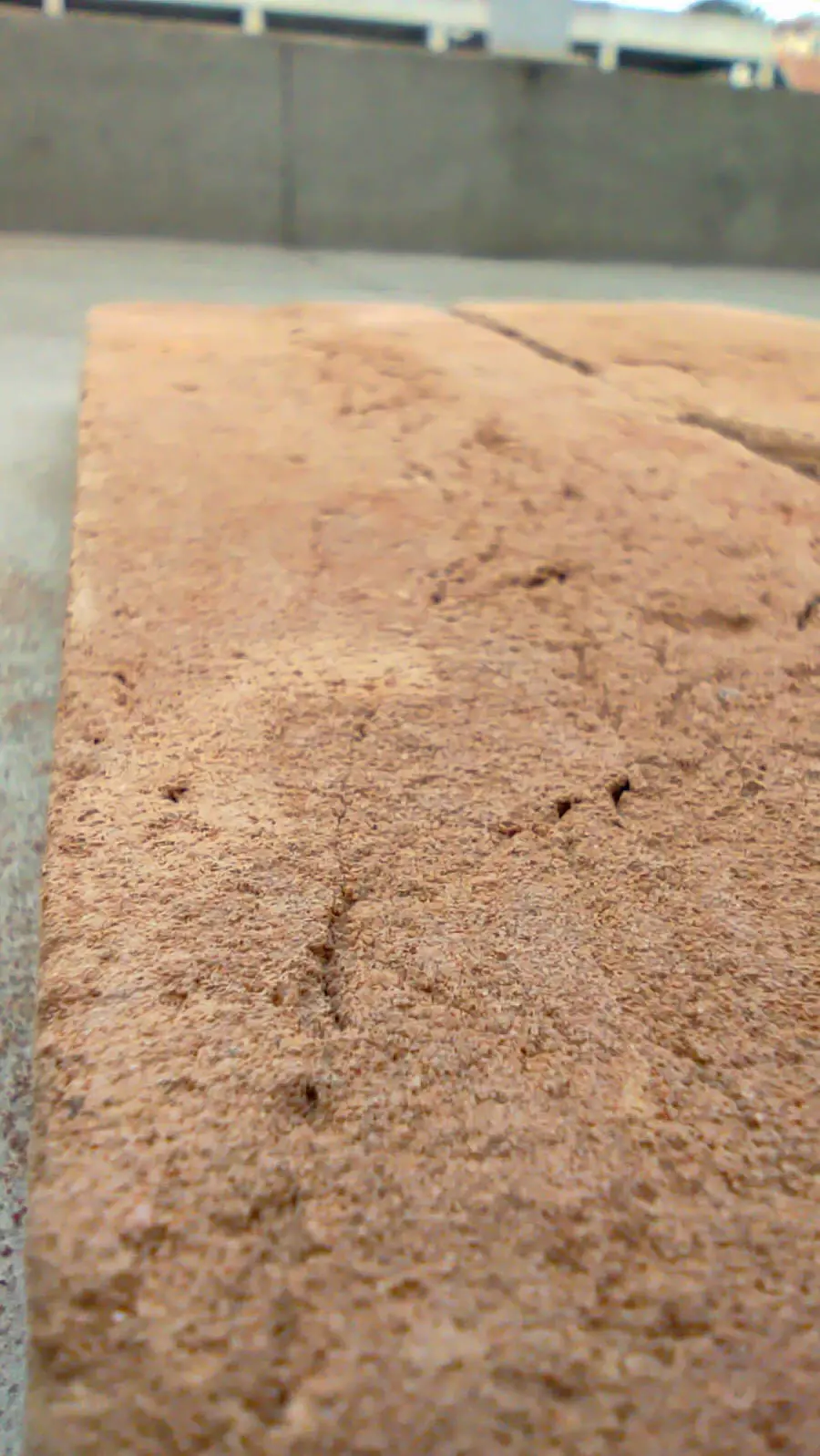 Rusticatto Palha - Imagem 7